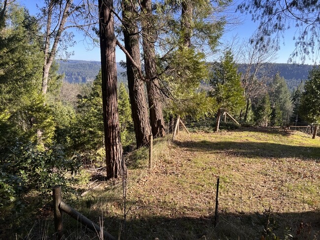 Building Photo - 19818 Scotts Flat Rd