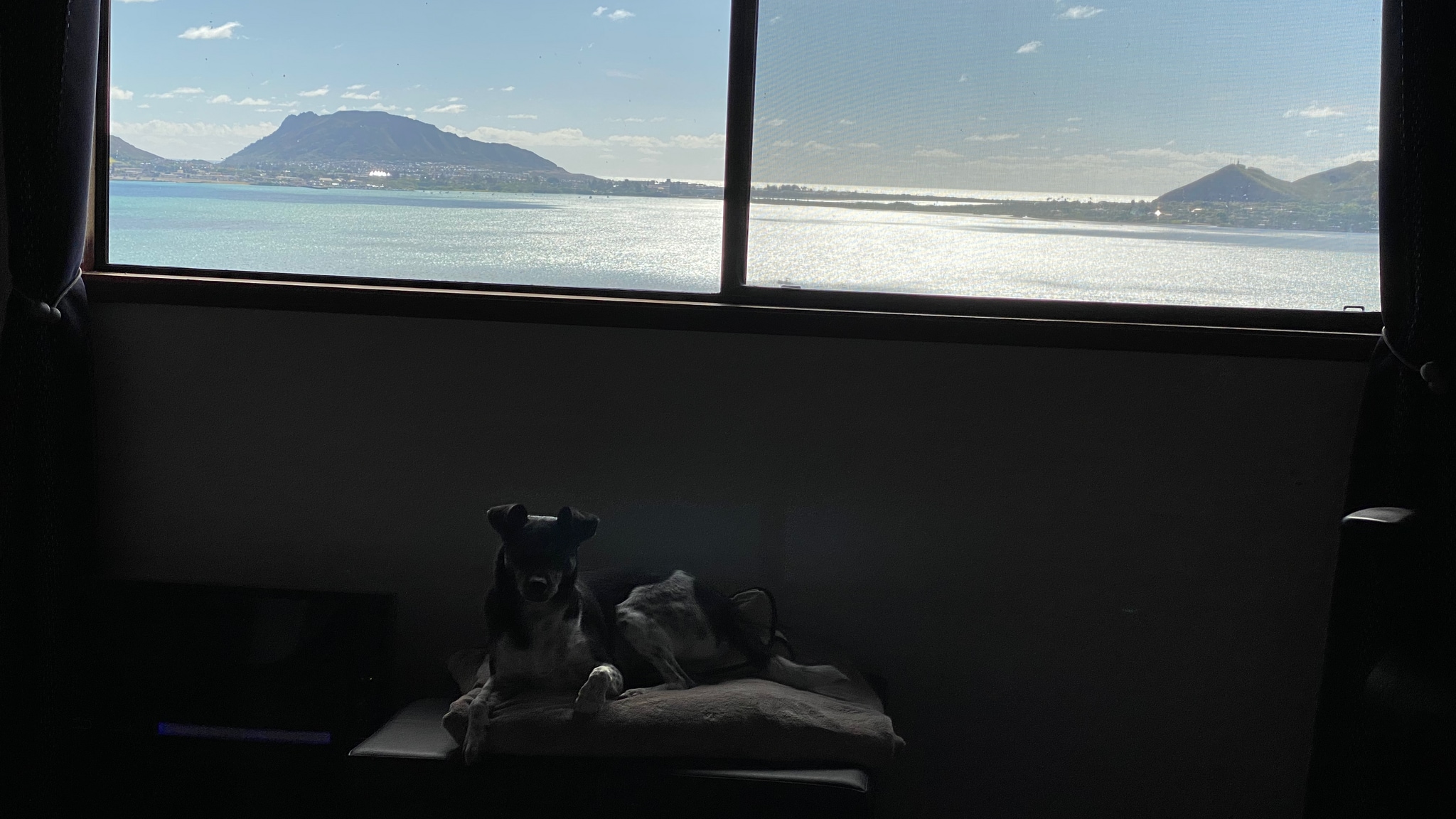 Dog not included... - 45-133 Alina Pl