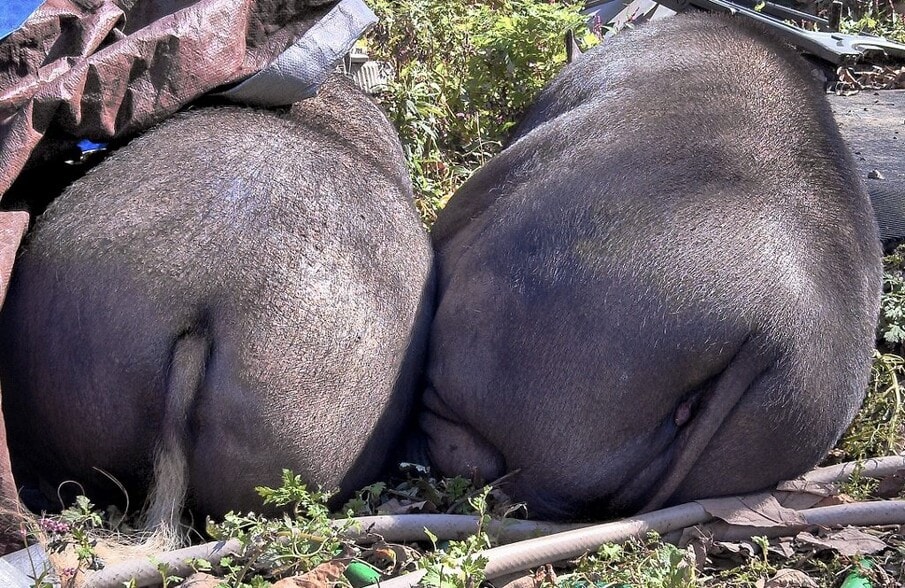 Building Photo - 1310 Hollow Rd