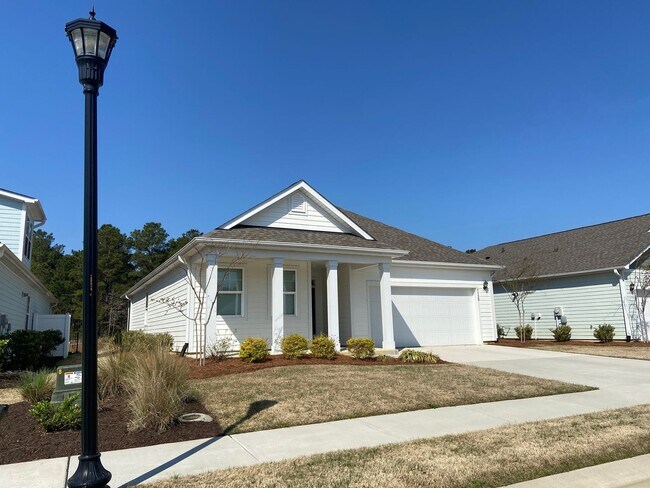 Building Photo - Brand new construction home in the desirable Brunswick Forest subdivision
