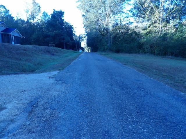 Street View - 1006 White Oak Ext