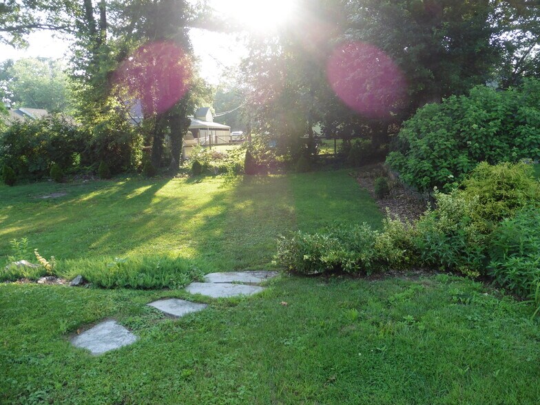 Backyard - 319 Crompton Rd