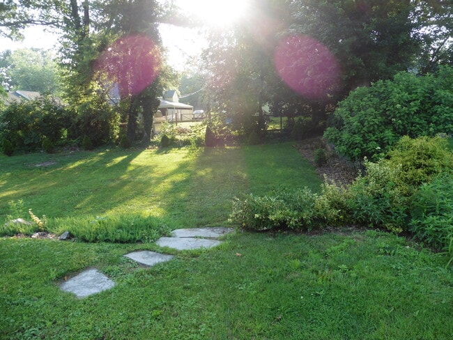 Backyard - 319 Crompton Rd