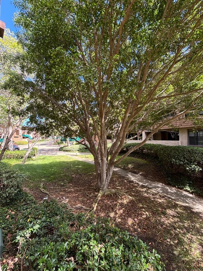 Building Photo - 8860 Villa La Jolla Dr