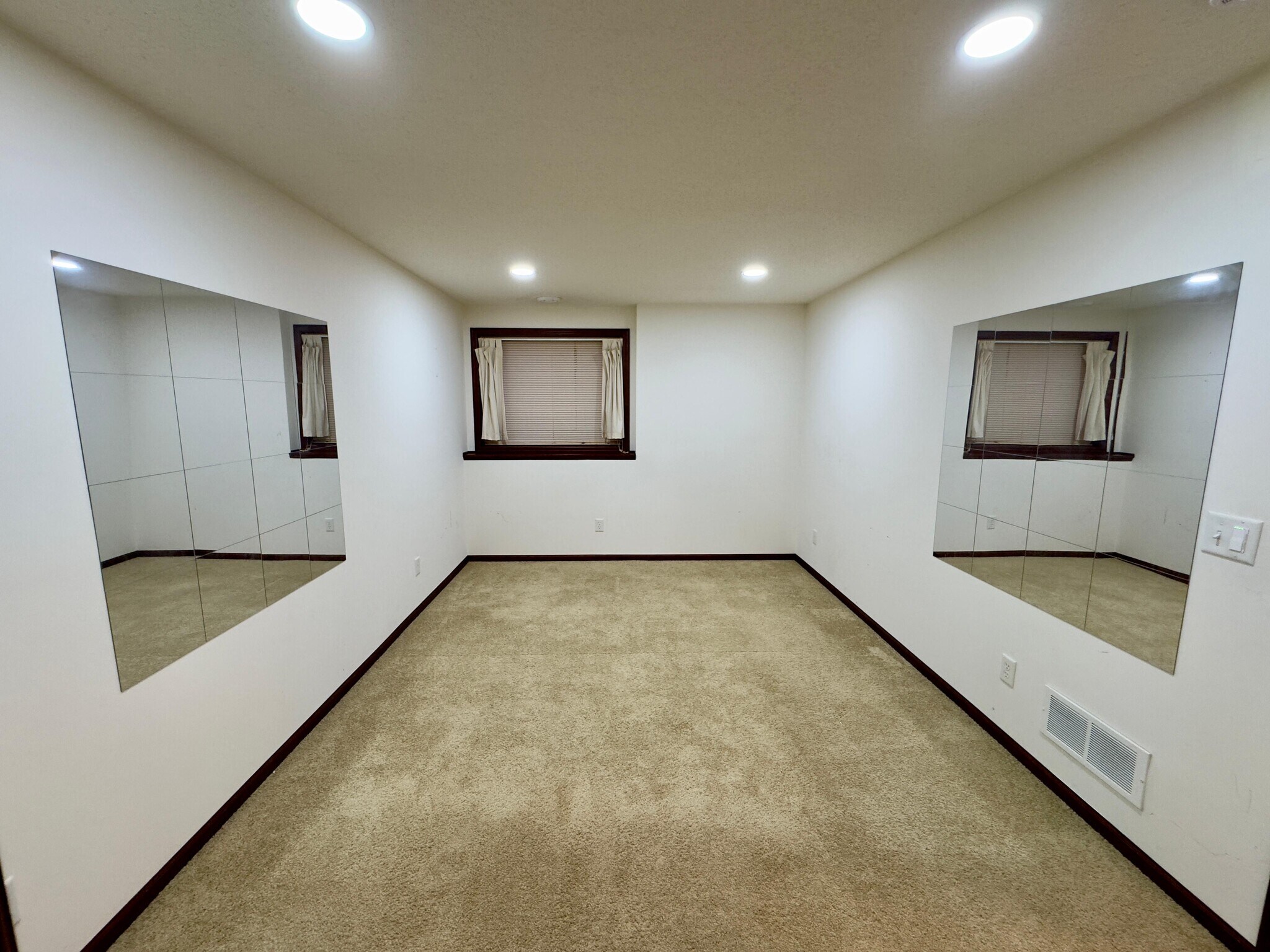 Bedroom 5 in basement - 10006 Pincherry Ln