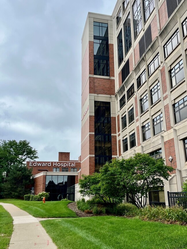 Building Photo - 320 Elmwood Dr