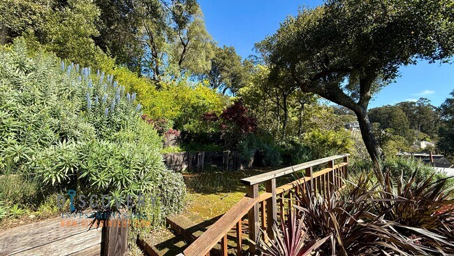 Building Photo - Panoramic Hill Estate with Sweeping Views