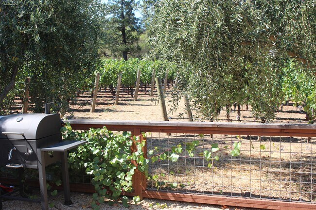 view - 1077 Valley View St