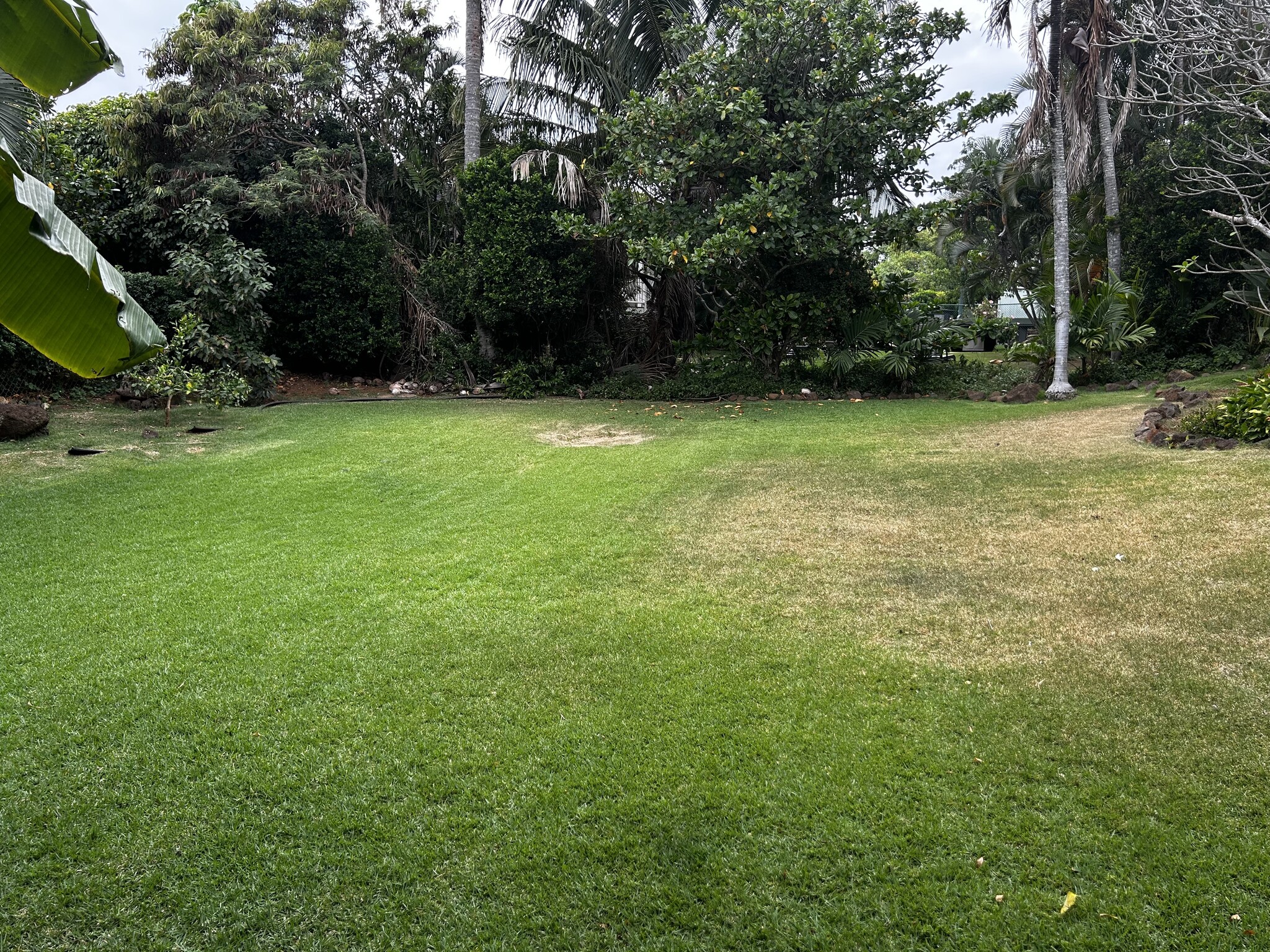 Building Photo - 5142 Lawai Rd