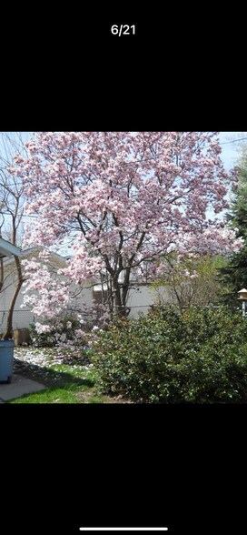 Private backyard - 6808 20th Ave