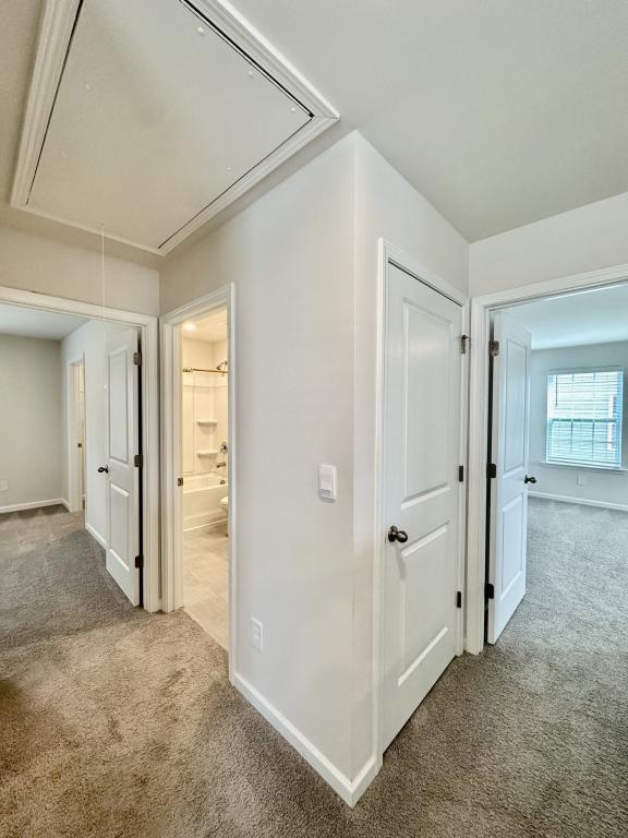 Building Photo - 1339 Mifflin Ln