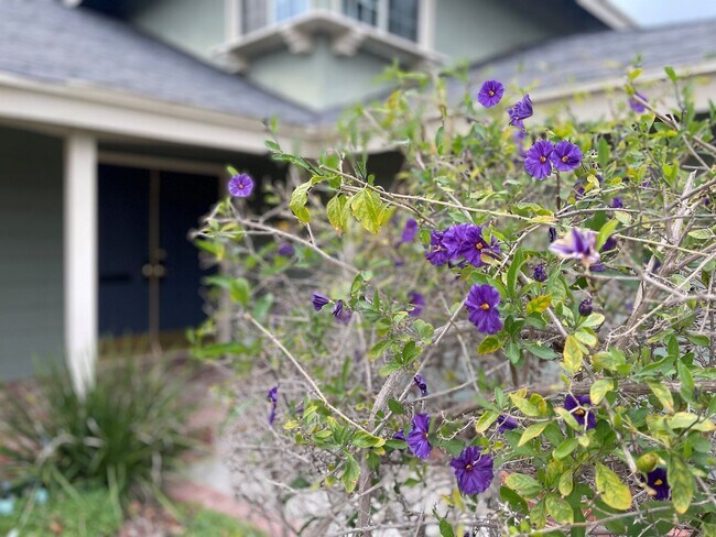 Building Photo - Spacious Corner Lot Home in Desirable Vent...
