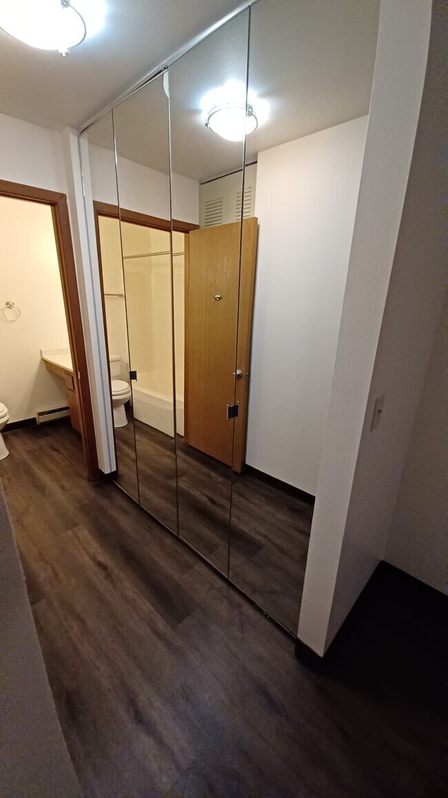 closet in master bedroom - 204 Ski Ct