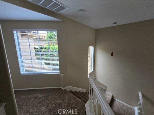 Building Photo - 101 Night Heron Ln