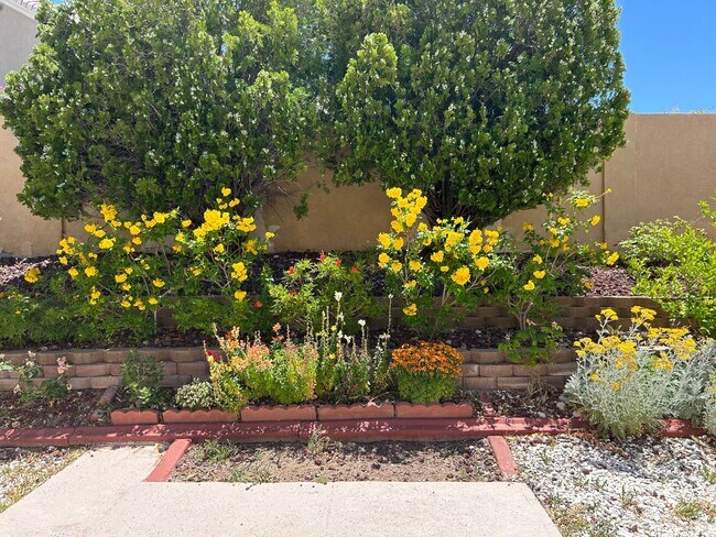 Building Photo - Single story home at Desert Shores