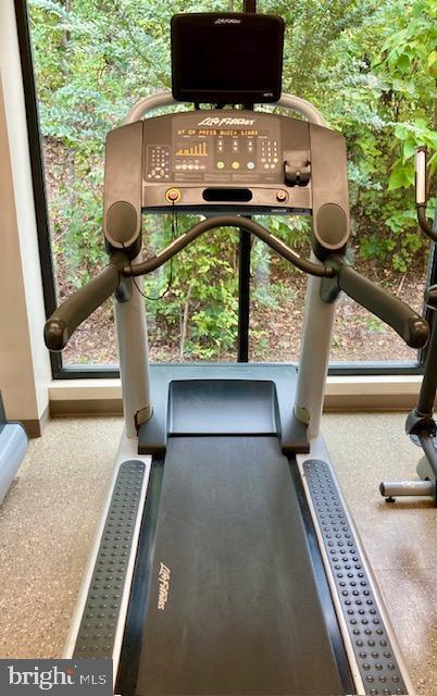 Building Photo - 5902 Mt Eagle Dr