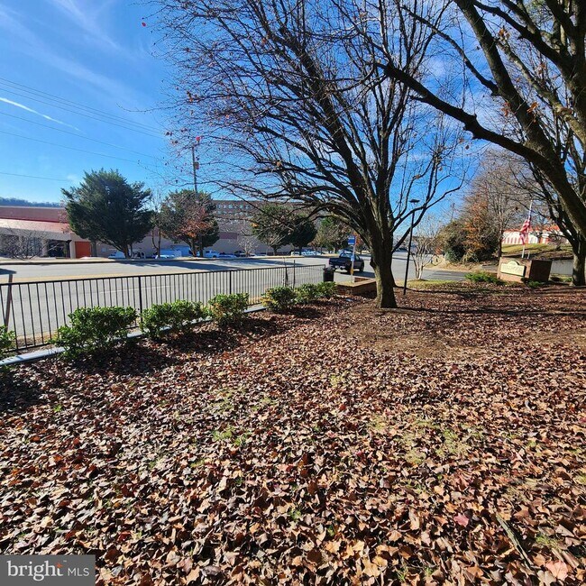 Building Photo - 255 S Pickett St