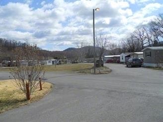 Primary Photo - Deer Crossing