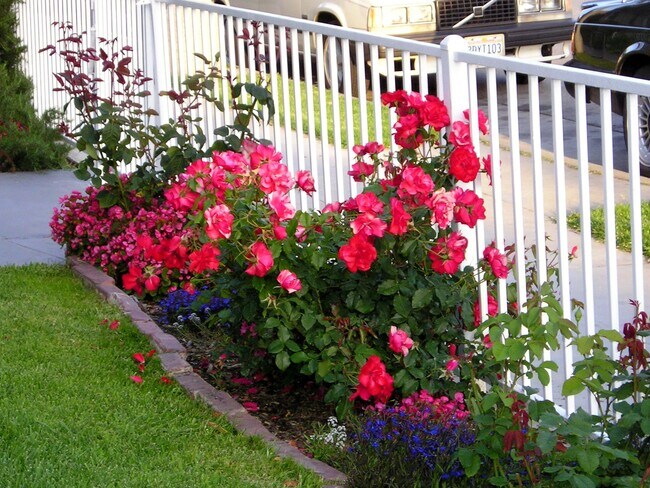 Building Photo - 2817 E Broadway