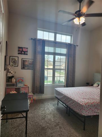 Building Photo - 10929 Big Spring Trail