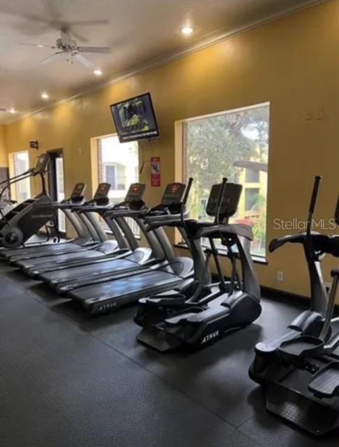 Building Photo - 1810 E Palm Ave