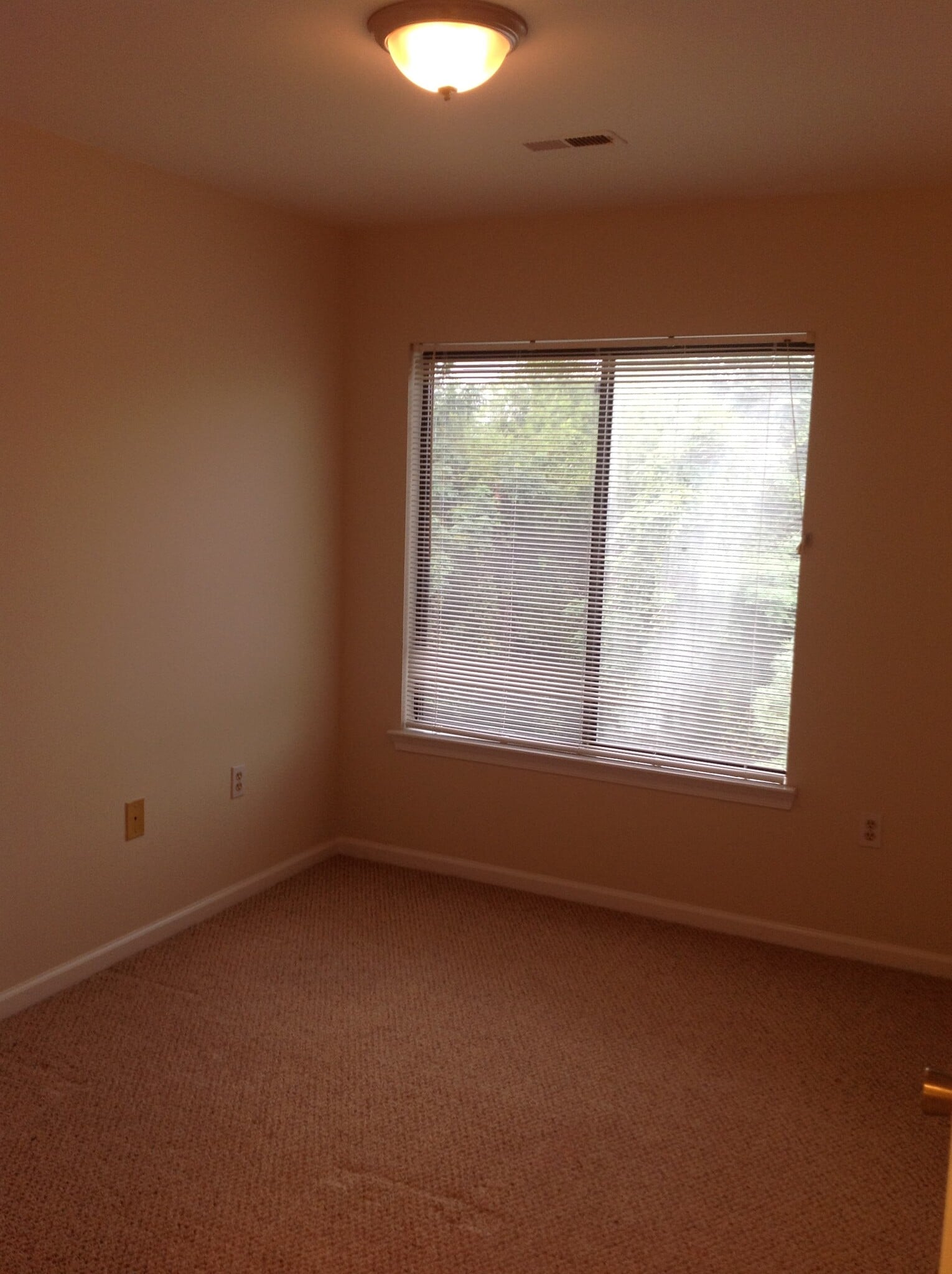 Bedroom 2 - 9560 Cannoneer Ct