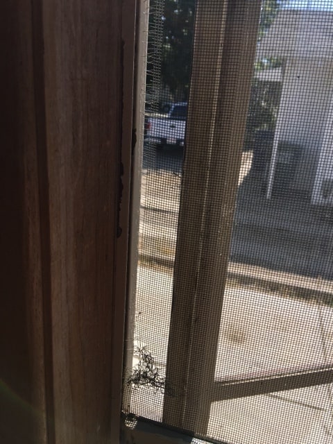 Building Photo - VOGT-120 West Pacheco