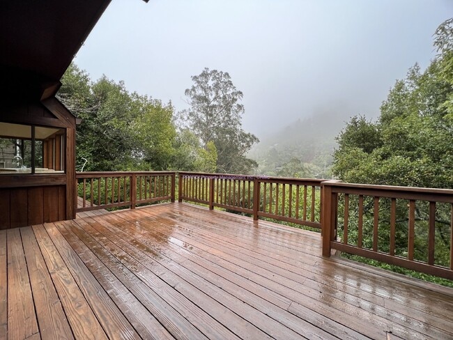 Building Photo - Beautiful 3 Bedroom, 2.5 Bathroom - Treehouse Sanctuary Home in Sausalito.