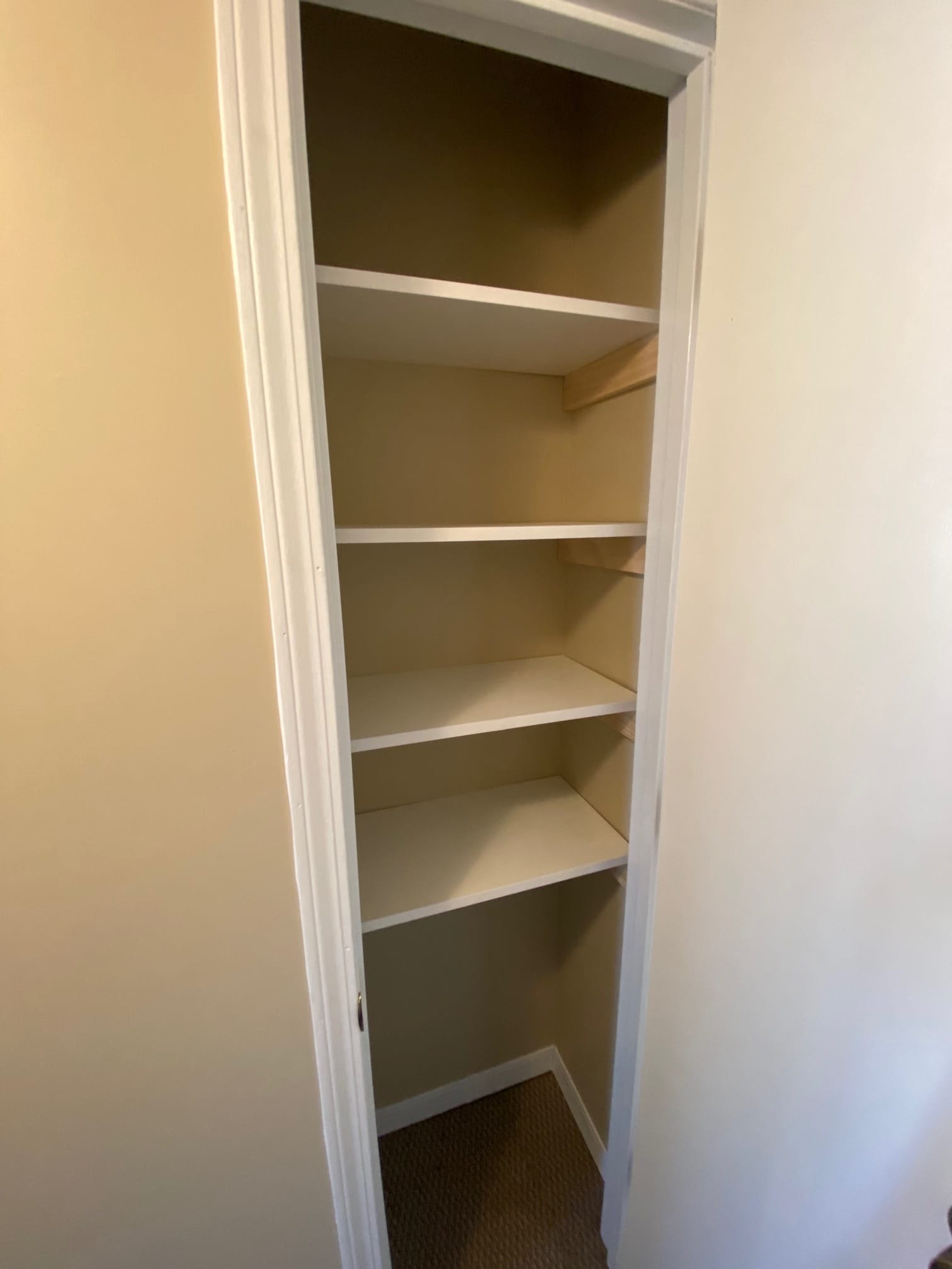 Hall Closet - 103 Sibley Rd
