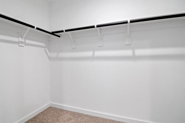 Building Photo - 12307 Frisco Cv Ct