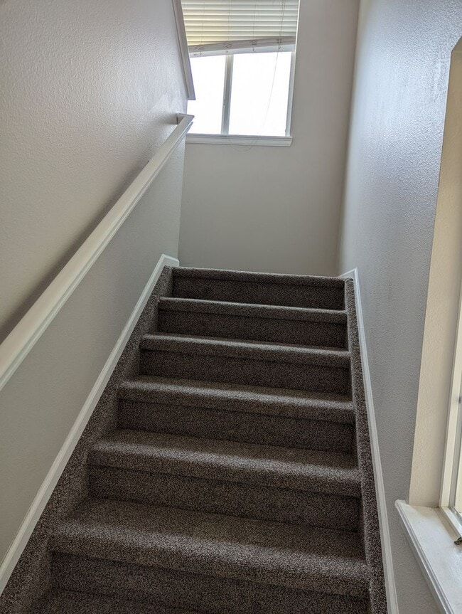 Building Photo - Gorgeous 2 Story 3 Bedroom 2.5 Baths in Dacono For Rent