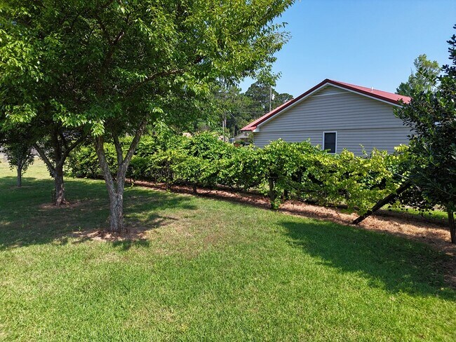 Building Photo - 2401 Patterson St