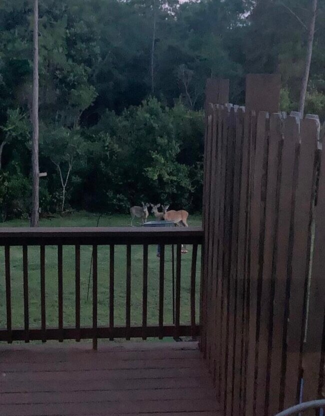 Building Photo - 26918 Spyglass Dr