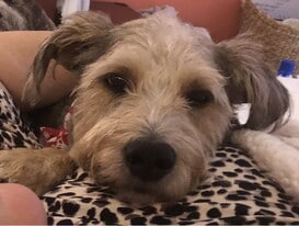 Building Photo - 810 Hammockwood Ct