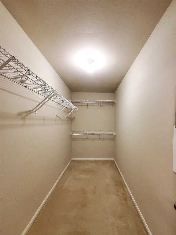 Building Photo - 491 Goldenrod St