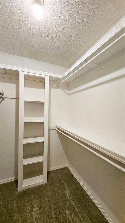 Building Photo - 4009 Cherry Hill Ln