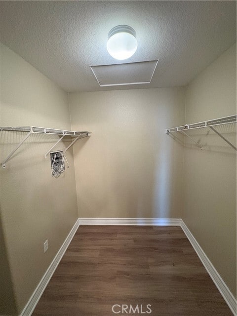 Building Photo - 36303 Vincenzo Way