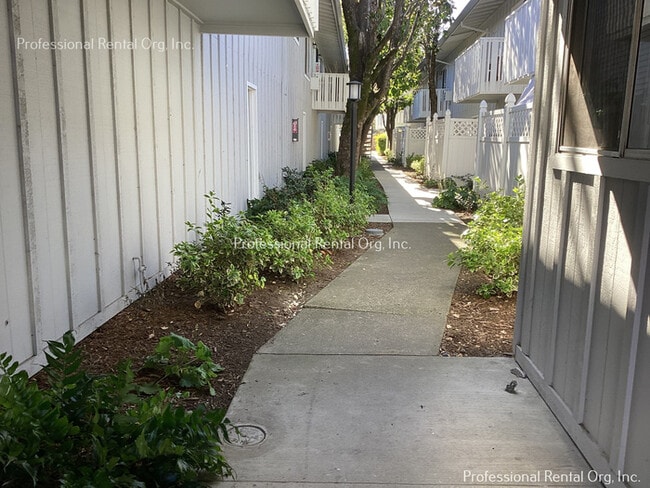 Building Photo - Downtown Newly remodeled 1 bedroom