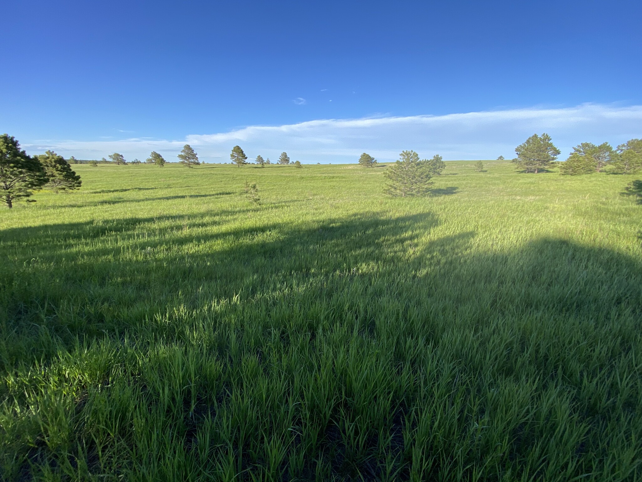 View from back of property - 15175 E Coachman Dr
