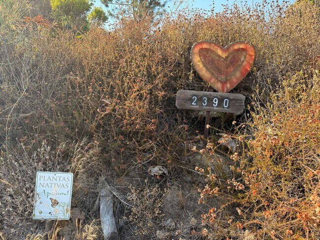 Building Photo - New Beach Bungalow Studio – Fire Mountain, South Oceanside