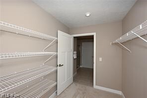 Building Photo - 1838 Shank Dr