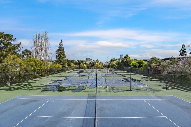 Building Photo - Studio at Shelter Creek