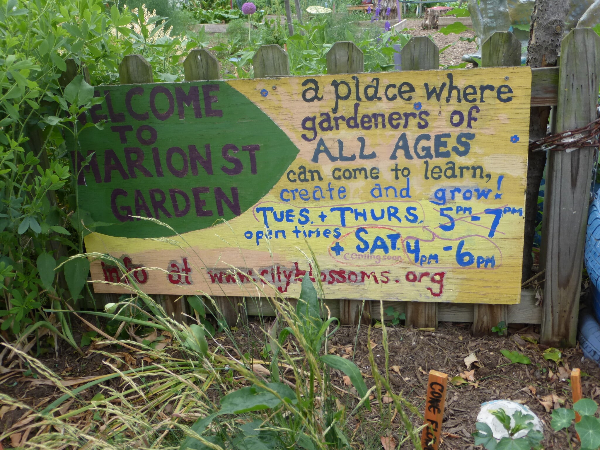 Marion Street - 1528 Marion St NW