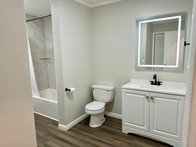 Full bathroom in the hallway across from the secondary bedrooms/beside the master - 6111 Northlakes Dr