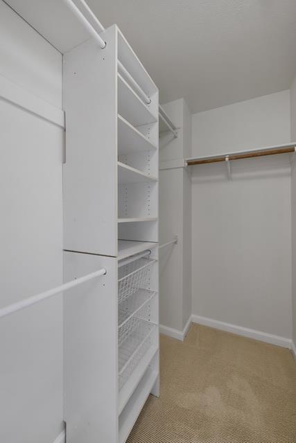 Building Photo - 336 Meridian Dr