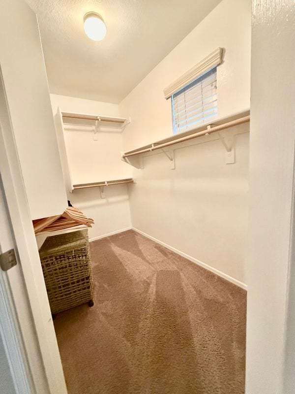 Building Photo - 3708 E Kerry Ln