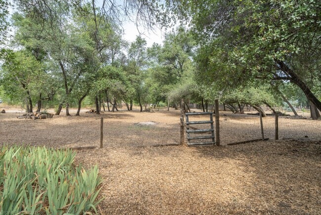 Building Photo - Central location in country setting! In law unit attached to house! MUST SEE!