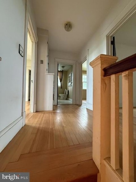 Building Photo - 3825 Baltimore Pike