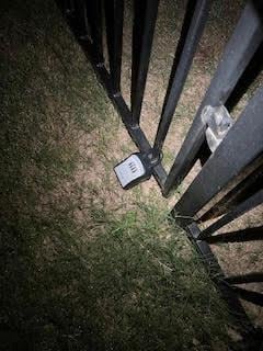 Building Photo - 441 Bristlecone Bend