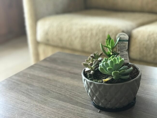 Building Photo - 2735 Peeler Rd